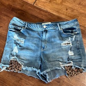 Cato size 16 distressed shorts
